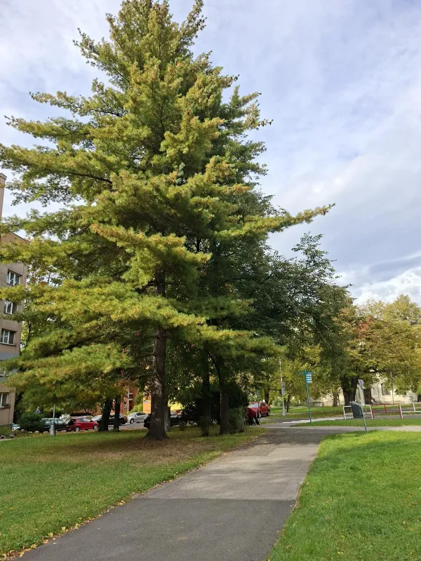 Prodej bytu 2+1, 54 m2, Kopřivnice, Štramberská